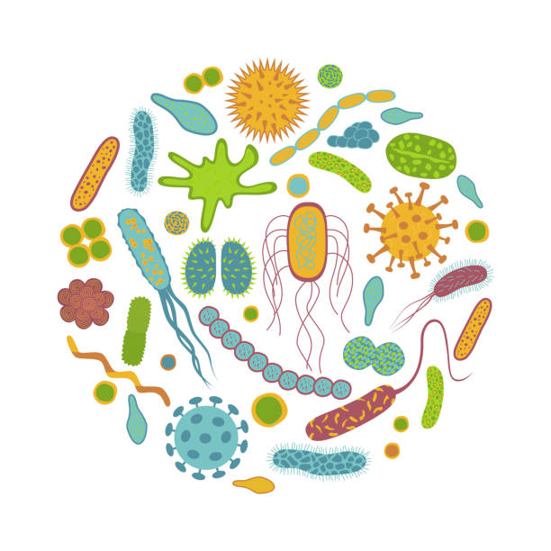 Le monde microbien MB